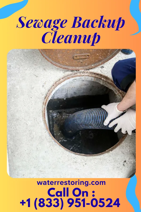 Sewage Backup Cleanup in Gibbon, NE